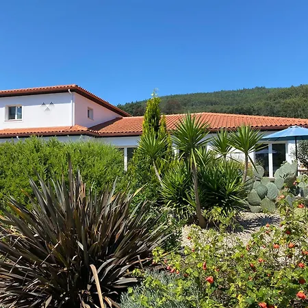 Casa Carvalhal - Adults Only 住宿加早餐酒店 戈伊什