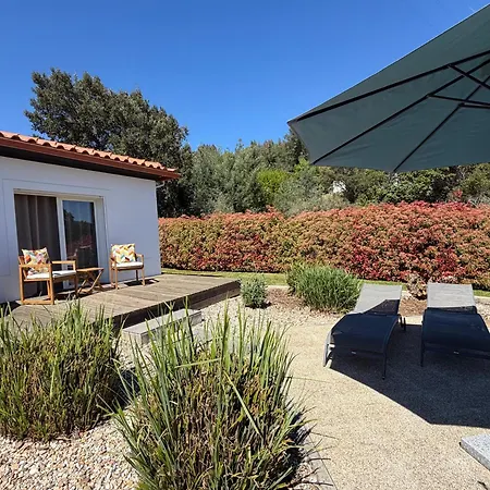 Bed & Breakfast Casa Carvalhal - Adults Only