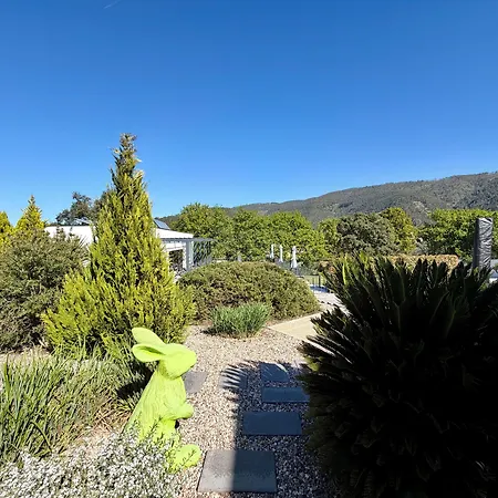 Bed & Breakfast Casa Carvalhal - Adults Only 4*