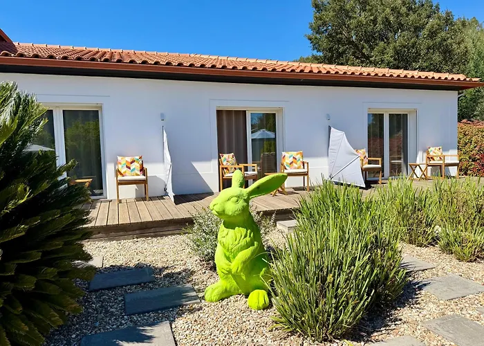 ベッド・アンド・ブレックファスト Casa Carvalhal - Adults Only Góis